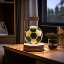 Crystal Ball Cosmic Dinosaur Indoor Night Light USB Power Warm Bedside Light Birthday Gift Night Lamp